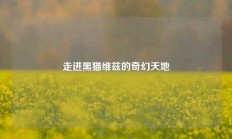 走进黑猫维兹的奇幻天地