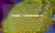 九阴真经，与寒鸦草的传奇之约