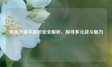 黑色沙漠手游职业全解析，探寻多元战斗魅力