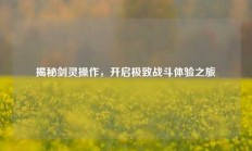 揭秘剑灵操作，开启极致战斗体验之旅