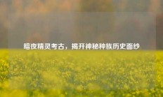 暗夜精灵考古，揭开神秘种族历史面纱