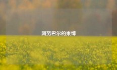 阿努巴尔的束缚