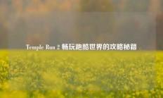 Temple Run 2 畅玩跑酷世界的攻略秘籍