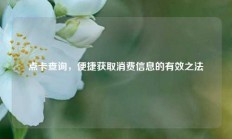 点卡查询，便捷获取消费信息的有效之法