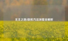 无主之地2联机方法深度全解析