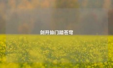 剑开仙门踏苍穹