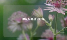 设法与魈建立联系