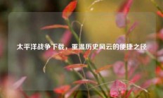 太平洋战争下载，重温历史风云的便捷之径