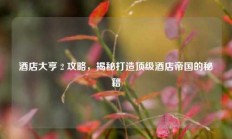 酒店大亨 2 攻略，揭秘打造顶级酒店帝国的秘籍