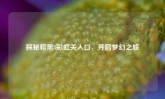 探秘暗黑3彩虹关入口，开启梦幻之旅