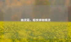 幽灵菇，暗夜神秘精灵