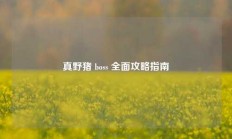 真野猪 boss 全面攻略指南