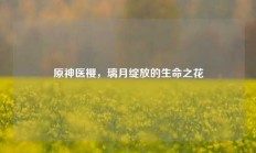 原神医樱，璃月绽放的生命之花