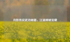 月影传说武功秘籍，江湖神秘宝藏