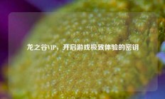 龙之谷VIP，开启游戏极致体验的密钥