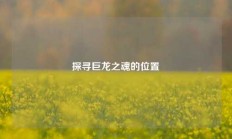 探寻巨龙之魂的位置