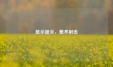 显示提示，奥术射击