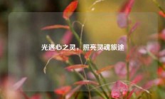 光遇心之灵，照亮灵魂旅途