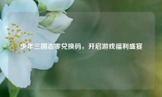 少年三国志零兑换码，开启游戏福利盛宴