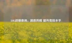 LOL战绩查询，洞悉历程 提升竞技水平