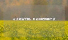 走进厄运之槌，开启神秘探秘之旅