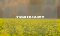 奋斗铸就卓越奇迹与辉煌