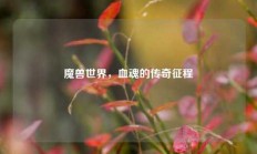 魔兽世界，血魂的传奇征程