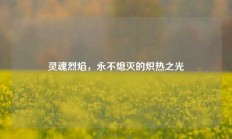 灵魂烈焰，永不熄灭的炽热之光