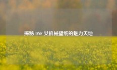 探秘 DNF 女机械壁纸的魅力天地