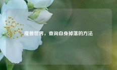 魔兽世界，查询自身掉落的方法