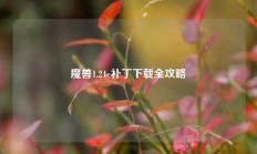 魔兽1.24e补丁下载全攻略