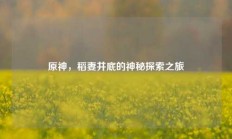 原神，稻妻井底的神秘探索之旅