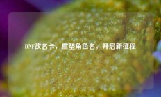 DNF改名卡，重塑角色名，开启新征程