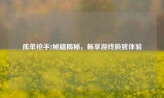 孤单枪手2秘籍揭秘，畅享游戏极致体验