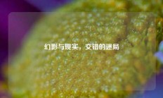 幻影与现实，交错的迷局