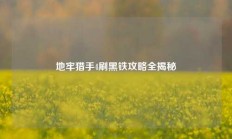 地牢猎手4刷黑铁攻略全揭秘