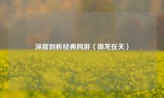 深度剖析经典网游〈御龙在天〉