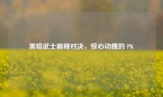 黑暗武士巅峰对决，惊心动魄的 PK