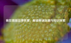 疯狂猜图品牌答案，解锁解谜乐趣与知识探索