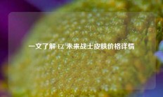 一文了解 EZ 未来战士皮肤价格详情