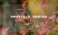 探秘原神无相之草，自然魔力化身
