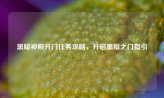 黑暗神殿开门任务攻略，开启黑暗之门指引