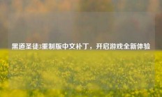 黑道圣徒3重制版中文补丁，开启游戏全新体验