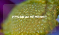 阿木在幽深山谷寻得掉落的月牙