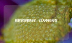 指挥官泽斯加尔，战火中的传奇