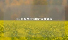 DNF 90 版本职业排行深度剖析