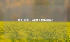 梦幻诛仙，胡萝卜丝奇遇记