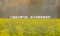三国战记集气快，战斗节奏加速密码