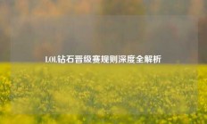 LOL钻石晋级赛规则深度全解析