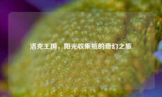 洛克王国，阳光收集瓶的奇幻之旅